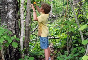 Outdoor Nature Games for Kids (Ages 5-12)