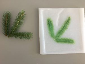 Fused Glass: Implementing Nature