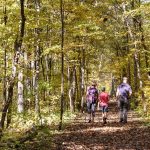 Fall Foliage Hike- Sandrock Cliffs Trail