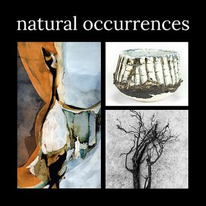 Opening Party for "Natural Occurrences"