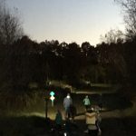 Gallery 1 - Fall Full Moon Family Hike