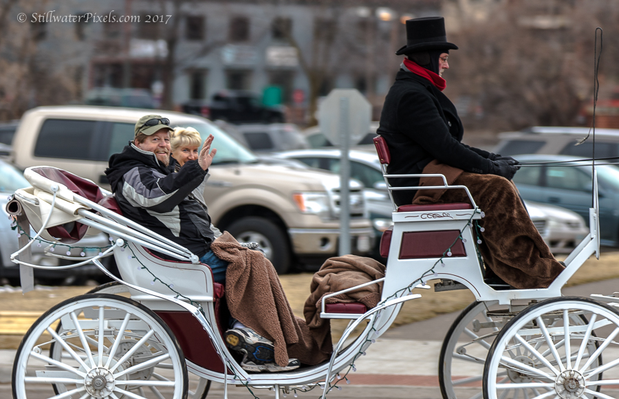 Gallery 4 - Horse-Drawn Carriage Rides