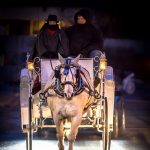 Gallery 2 - Horse-Drawn Carriage Rides