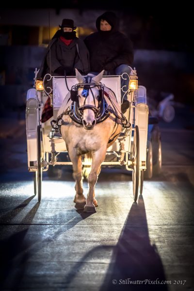 Gallery 2 - Horse-Drawn Carriage Rides