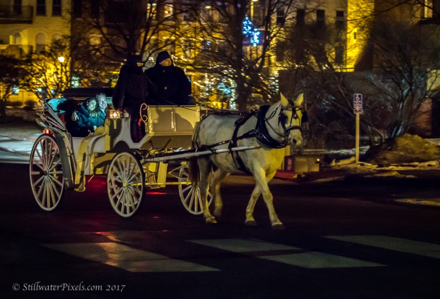 Gallery 1 - Horse-Drawn Carriage Rides