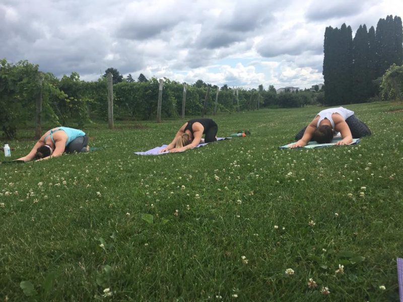 Gallery 2 - Yoga in the Vines