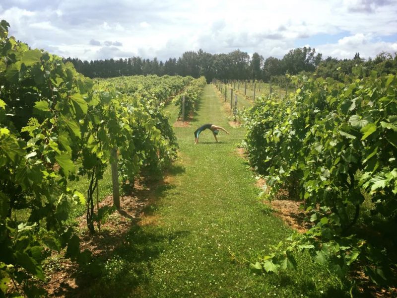 Gallery 1 - Yoga in the Vines