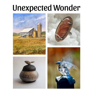 Unexpected Wonder Gallery Exhibition
