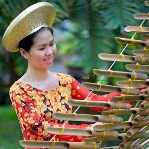 FREE Tuesday Coffee Concert featuring Vietnamese Traditional Music of Minnesota