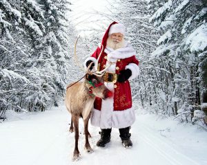 Visit Santa and his Reindeer!