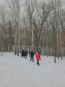 Guided Snowshoe Adventure