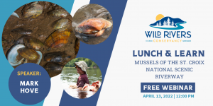 Lunch & Learn: Mussels of the St. Croix National Scenic Riverway