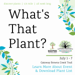 What's That Plant? (July 2022)