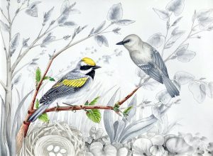 Birds, Trees, River - Tanya Piatz Artist Talk