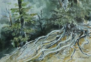 Birds, Trees, River - Charlotte Schuld Artist Talk