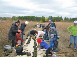 Pollinator Planting Party at Pine Point Park East
