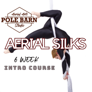 Aerial Silks 6 week intro Course