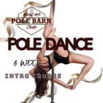 Intro to Pole Fitness for Beginners