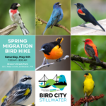 Spring Migration Bird Hike