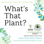 What's That Plant? Event - August 2024
