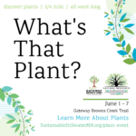 What's That Plant? Event - June 2024